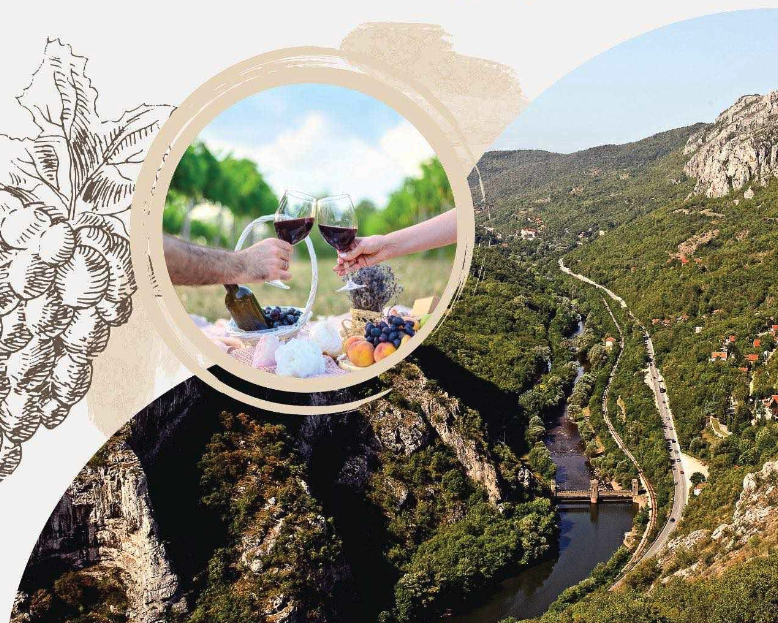 Sićevačka berba